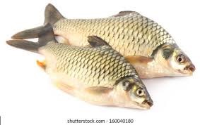 DESHI SHOR PUTI 500gram