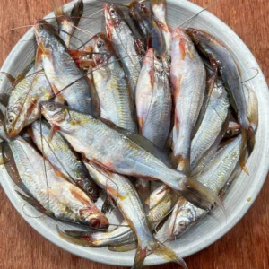 GULSHA FISH 500grm