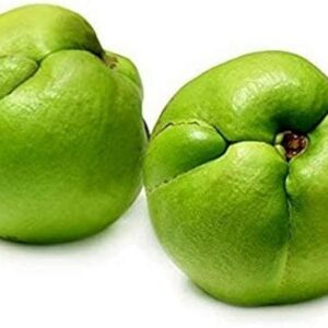 ELEPHANT APPLE (CHALTA )500G