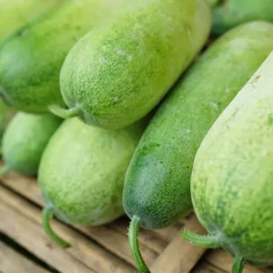 ASH GOURD (JALI) 500G